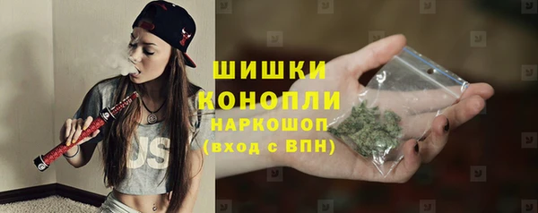 гидра Бородино