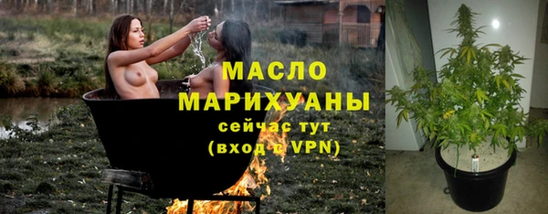 стаф Верея