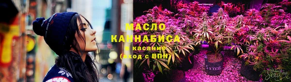 таблы Снежногорск