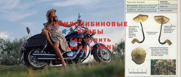 гидра Бородино