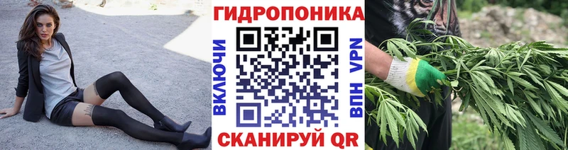 Бошки Шишки план  цены   Туапсе 